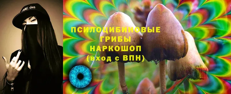 Галлюциногенные грибы Cubensis  блэк спрут вход  Горячий Ключ  купить  